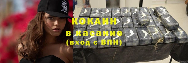 ECSTASY Богданович
