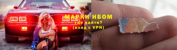 ECSTASY Богданович
