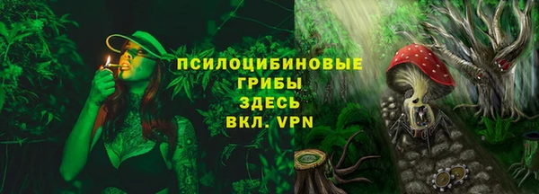apvp Щигры