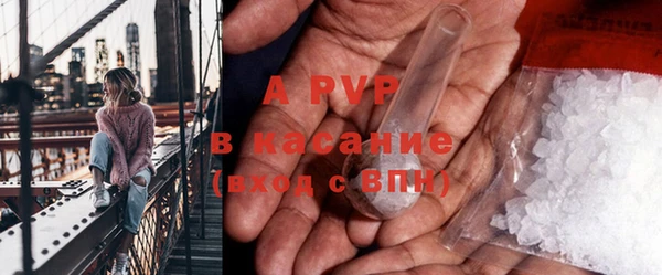 ECSTASY Богданович