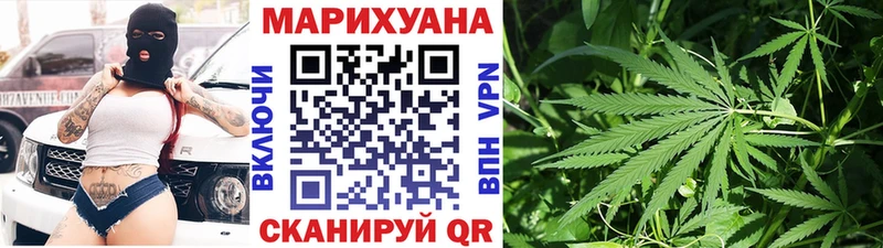 купить наркотик Северск Бошки Шишки сатива
